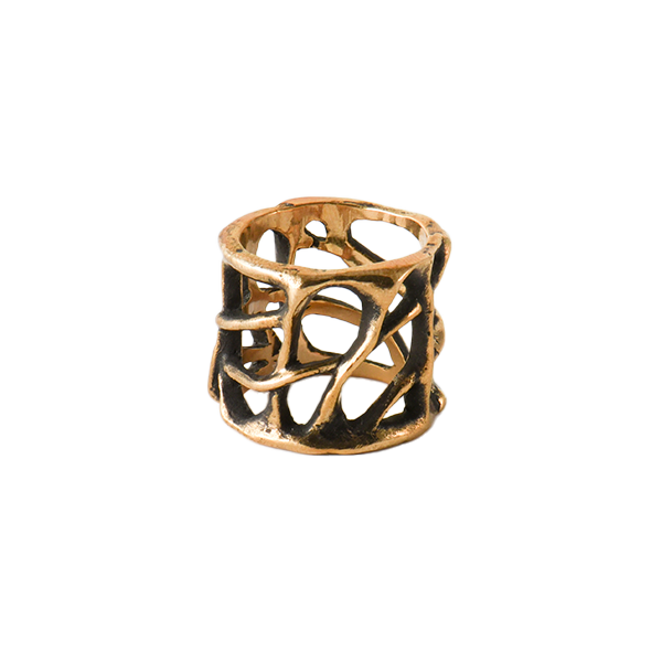 Anello Sinapsi
